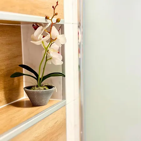 Charm 3 公寓 瓦爾納