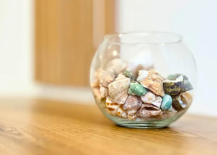 Charm 3 Appartement Varna