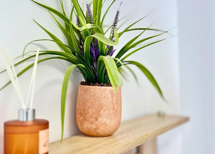 Appartement Charm 3 Varna