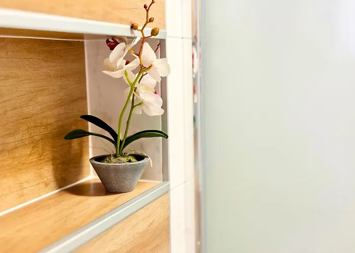 Charm 3 Appartement Varna