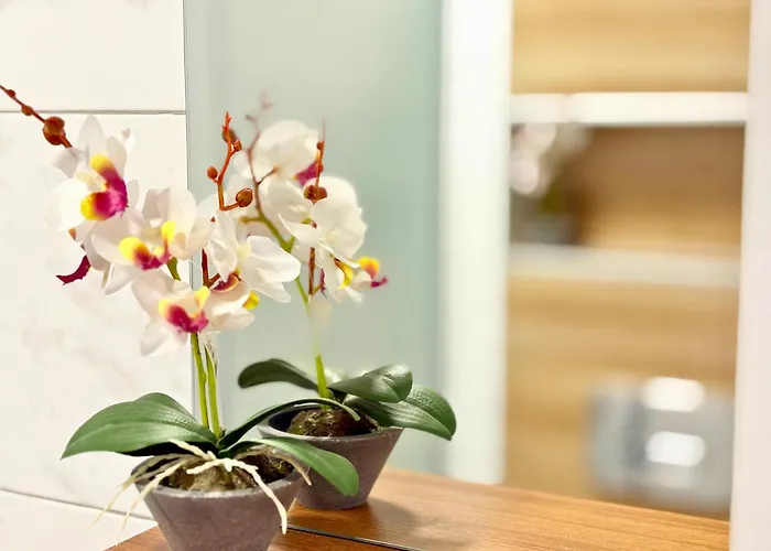 Charm 3 Appartement Varna